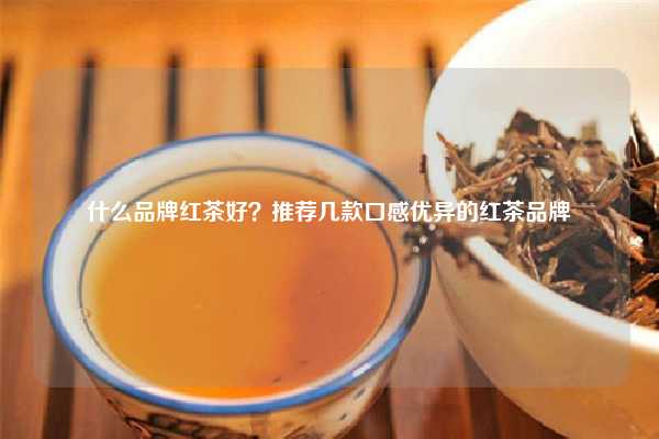 什么品牌红茶好？推荐几款口感优异的红茶品牌