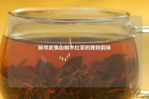 探寻武夷山桐木红茶的独特韵味