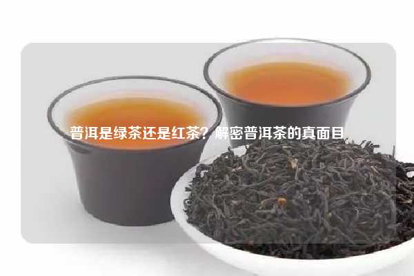 普洱是绿茶还是红茶？解密普洱茶的真面目