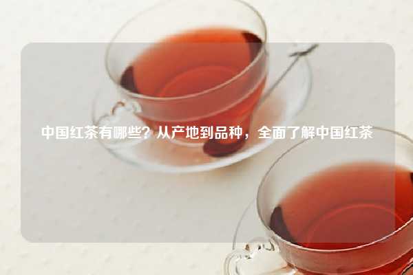 中国红茶有哪些？从产地到品种，全面了解中国红茶