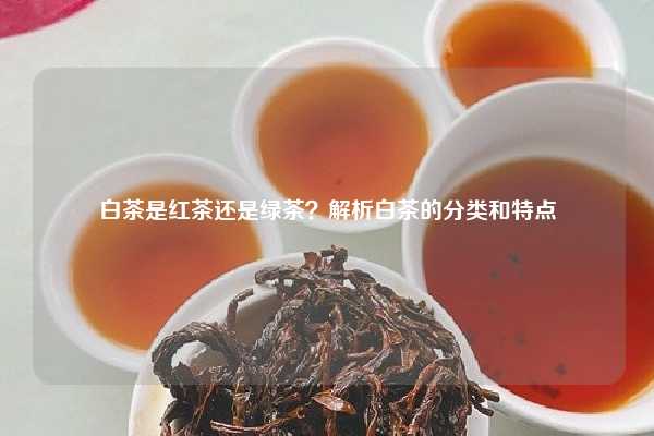 白茶是红茶还是绿茶？解析白茶的分类和特点