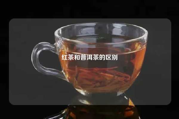 红茶和普洱茶的区别