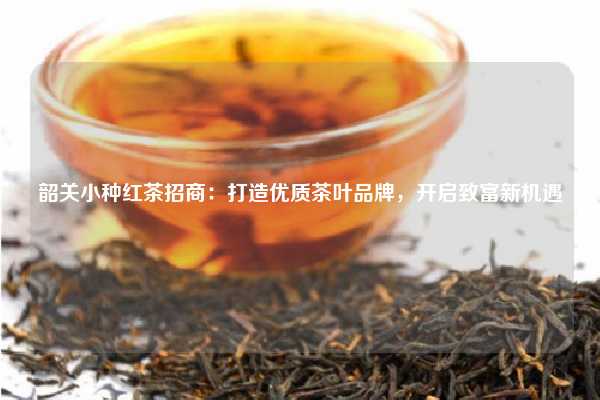 韶关小种红茶招商：打造优质茶叶品牌，开启致富新机遇